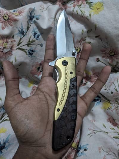 Browning DA77 Titanium handle hunting and camping folding knife