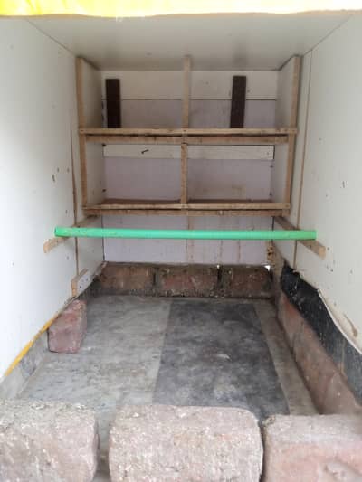 Pigeons + Cage for sale