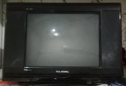 good result TCL NOBEL