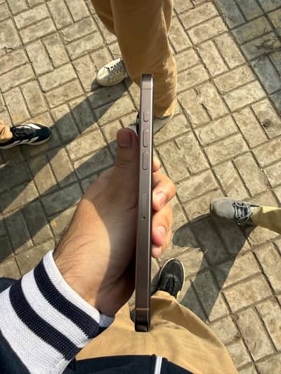 16promax pta approved desert titenum 256 physical + esim