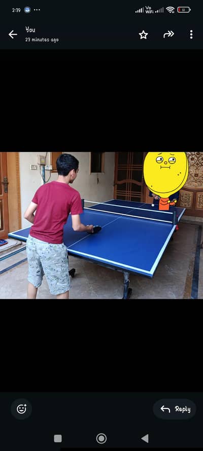 Almost New folding Table Tennis