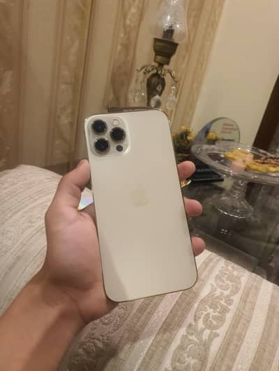 iphone 12 pm pta approved