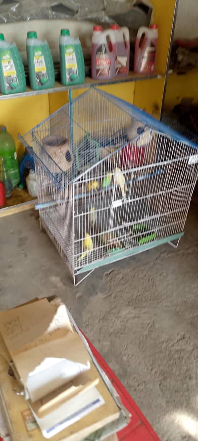 pori family hai 1 jora hai 3 bachy hyn