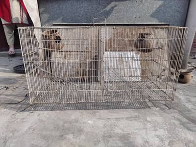cage for sale