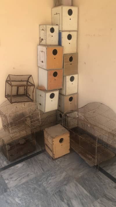 breeding boxes and accessories.