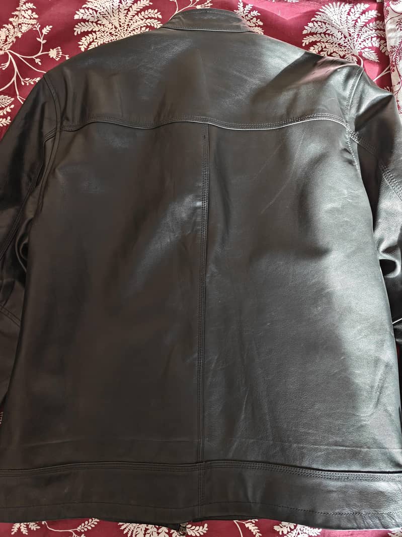Leather Jacket 4