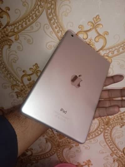 i phone Tablet Mini 2