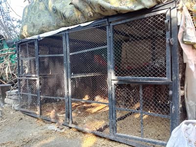 high quality cage for sale