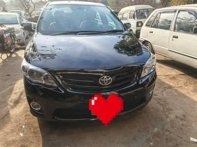 no ant accidentally car . sides shower for fresh look . seal to seals