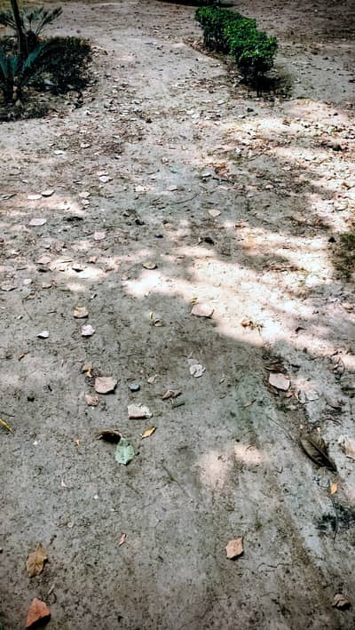 5 Marla Plot for Sale