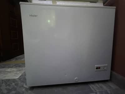 Haier single door freezer 10/9 condition