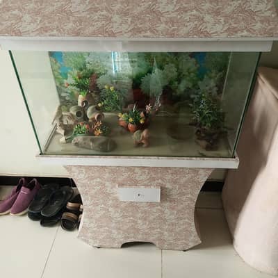 large aquarium set