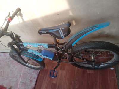 bicycle  size  20