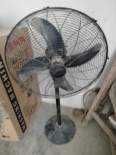 Pak Fan for Sale