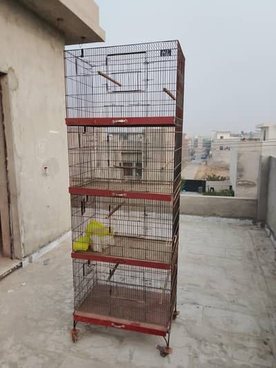4 portion Cage (10/10 Condition)