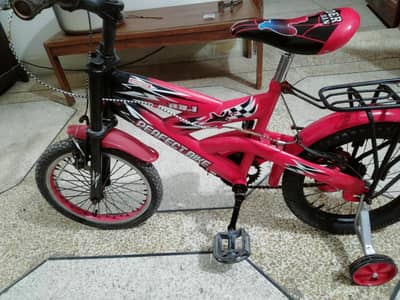Bicycle for sale