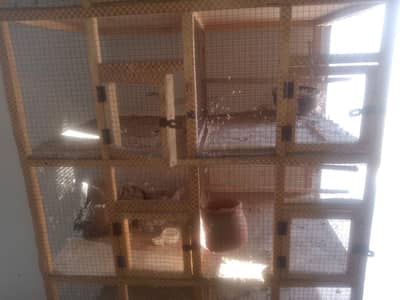 10 Box Cage