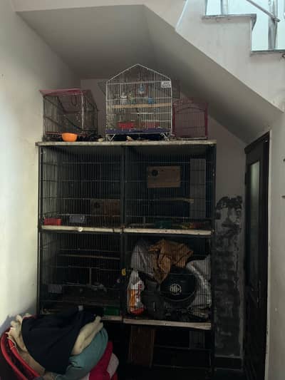 Parrots Cage is Up For Sale