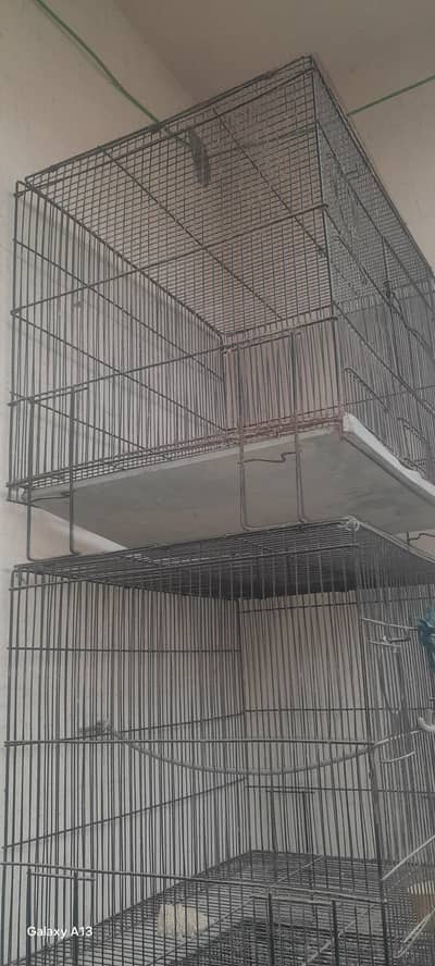 parrot cage