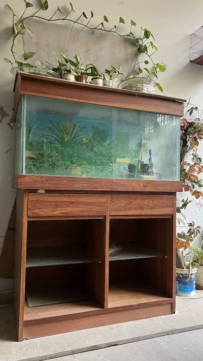 Wooden Fish Aquarium for sale - Without Fishes