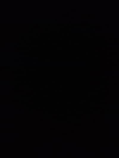 online Quran teacher