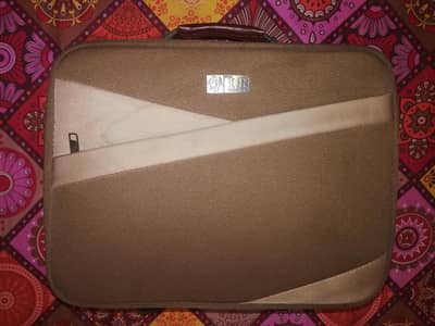 PoloClub 20 Inches 2 wheeler Luggage Bag Suitcase with Trolly Function