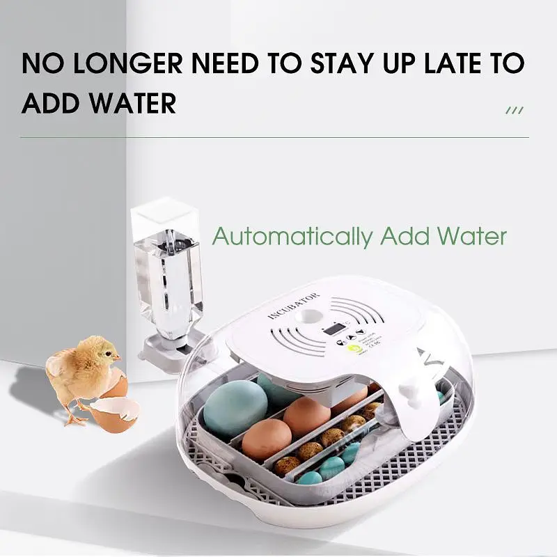Eggs Incubator ,Brooders  whole Sales Models Full Automatic Digital — photo 2