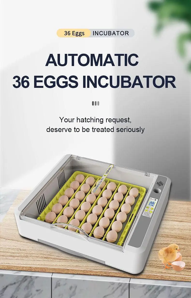 Eggs Incubator ,Brooders  whole Sales Models Full Automatic Digital — photo 4