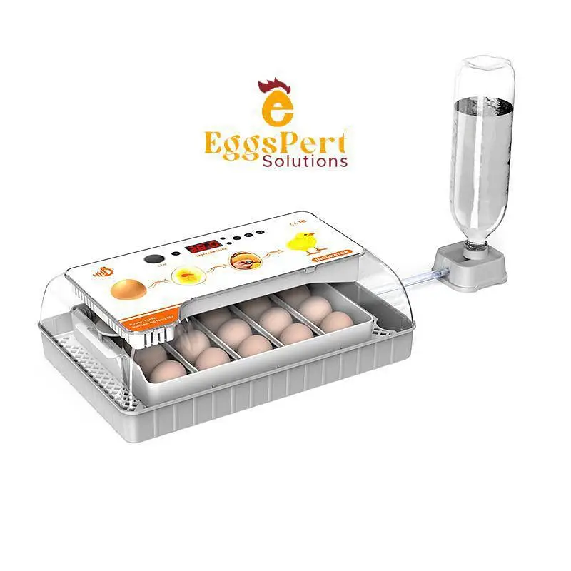 Eggs Incubator ,Brooders  whole Sales Models Full Automatic Digital — photo 5