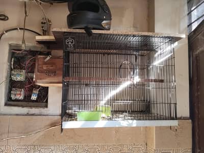 1.5x 2 feet iron cage 2 month used with kikar box and pots and stick