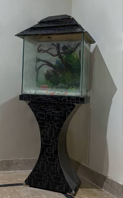 Fish Aquarium Complete Setup