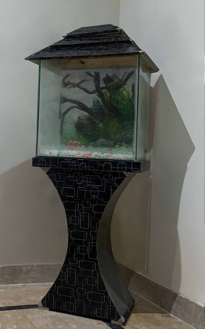 Fish Aquarium Complete Setup 0