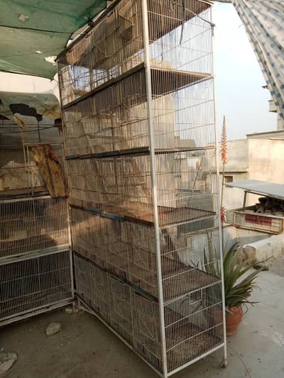 20 portion cage for sale in good condition.