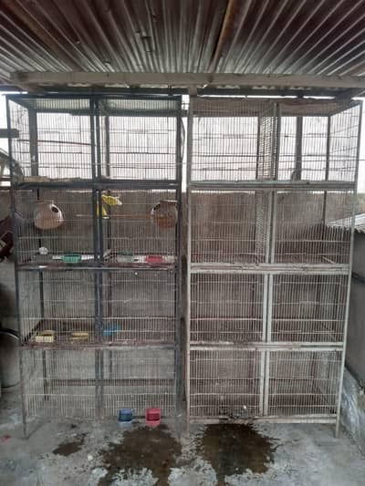 birds cage