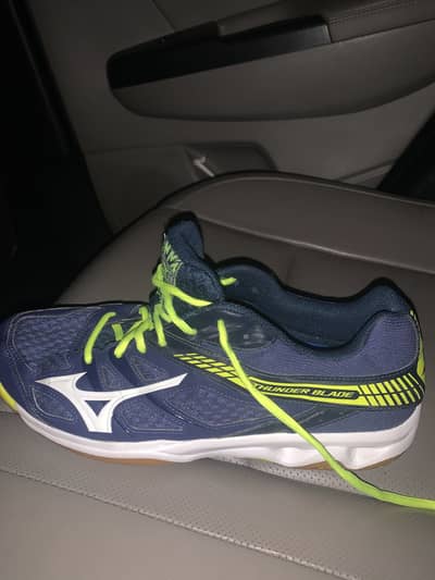 Mizuno  indoor Shoes