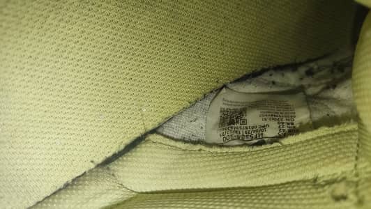 Nike dunks aura with official tag