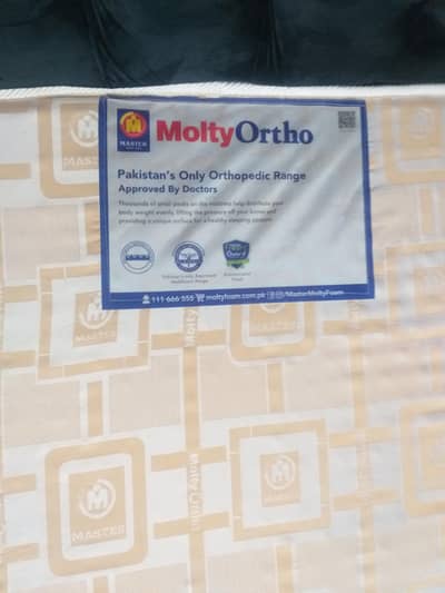 master molly ortho  frim