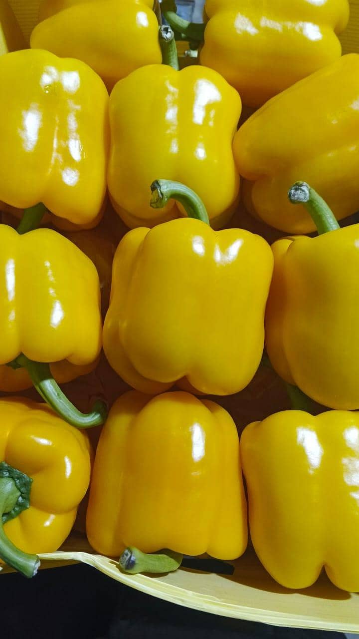 veggie Delight 5