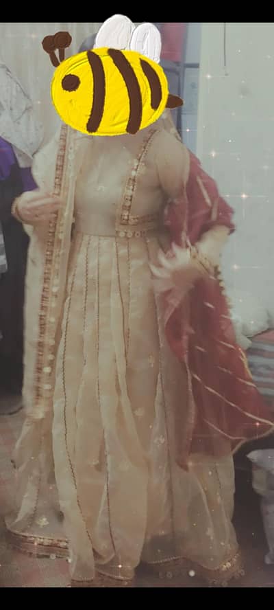 nikkah/Engagement dress