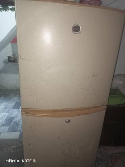 Fridge/Pel  refrigerator/fridge