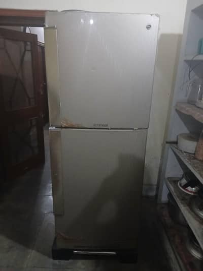 pel fridge. . good condition jambo size