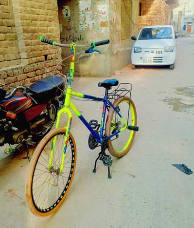 Phoenix cycle begi frame