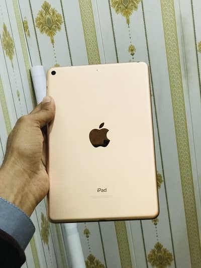 Ipad mini 5