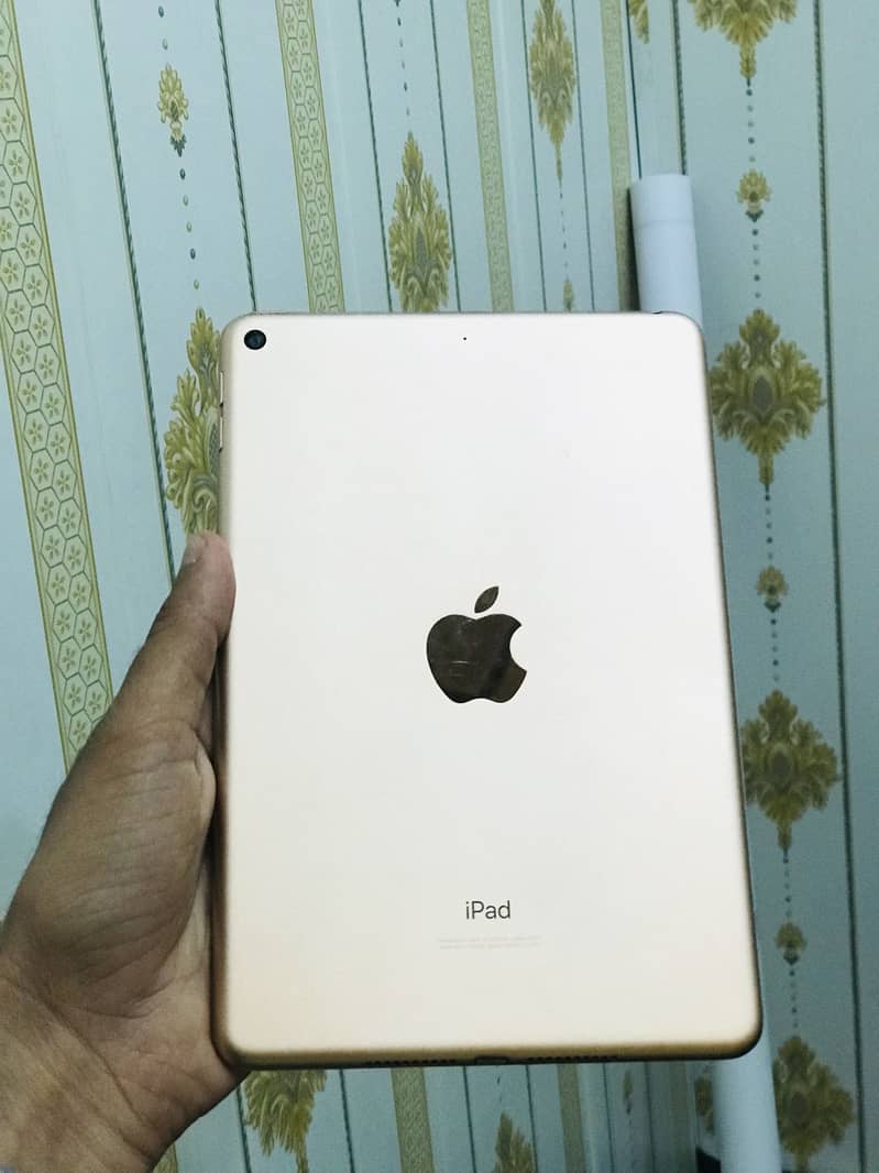 Ipad mini 5 1