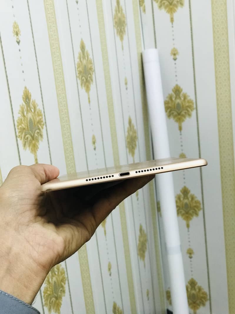 Ipad mini 5 3