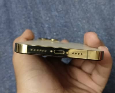 iPhone 13 Pro Max Golden colour