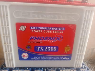 1 tubular battery 2500 6 month warranty hai sel kar raha hun