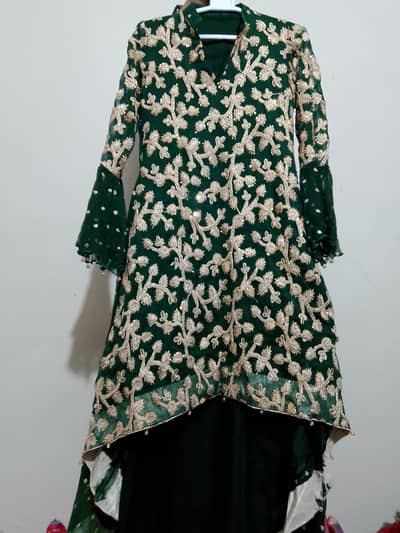 georgette silk flapper tail frock