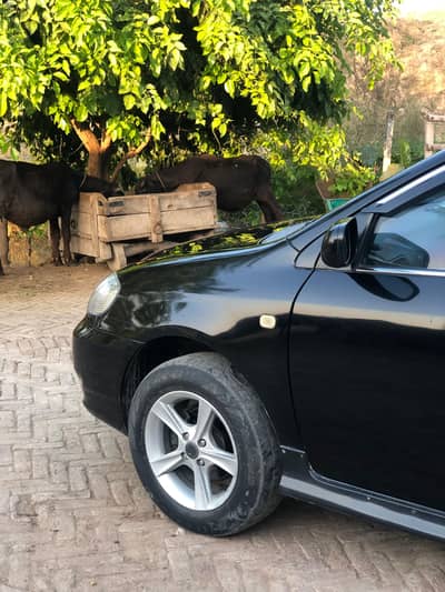 toyota crolla altis 1.8