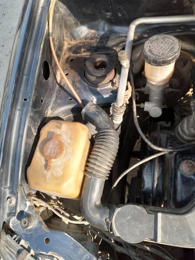 coure Automatic 2005